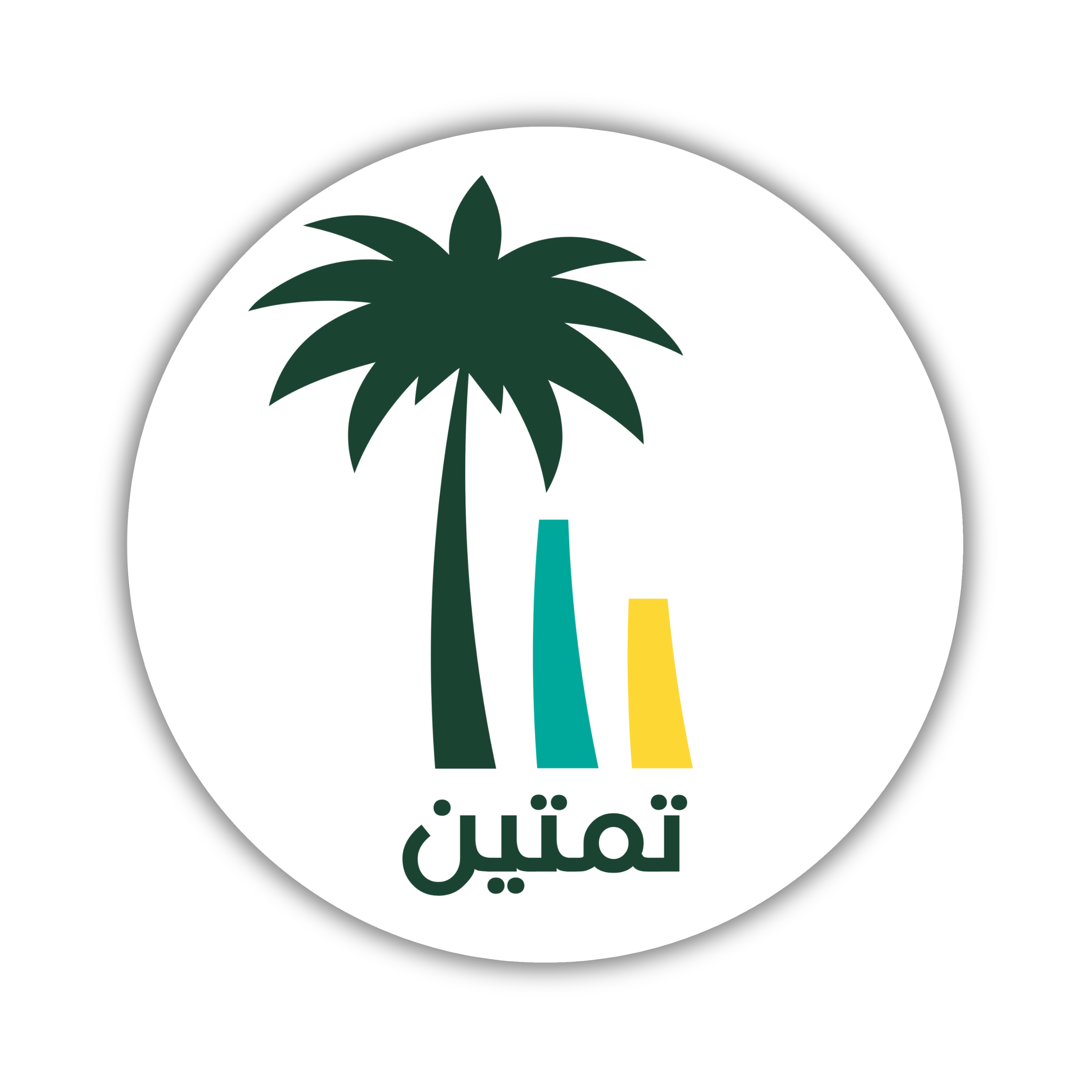 أكاديمية تمتين